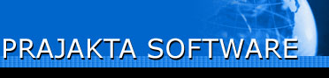 site software solution India